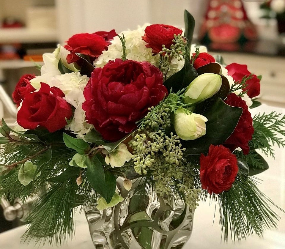 Candy Cane Greenwich Orchids