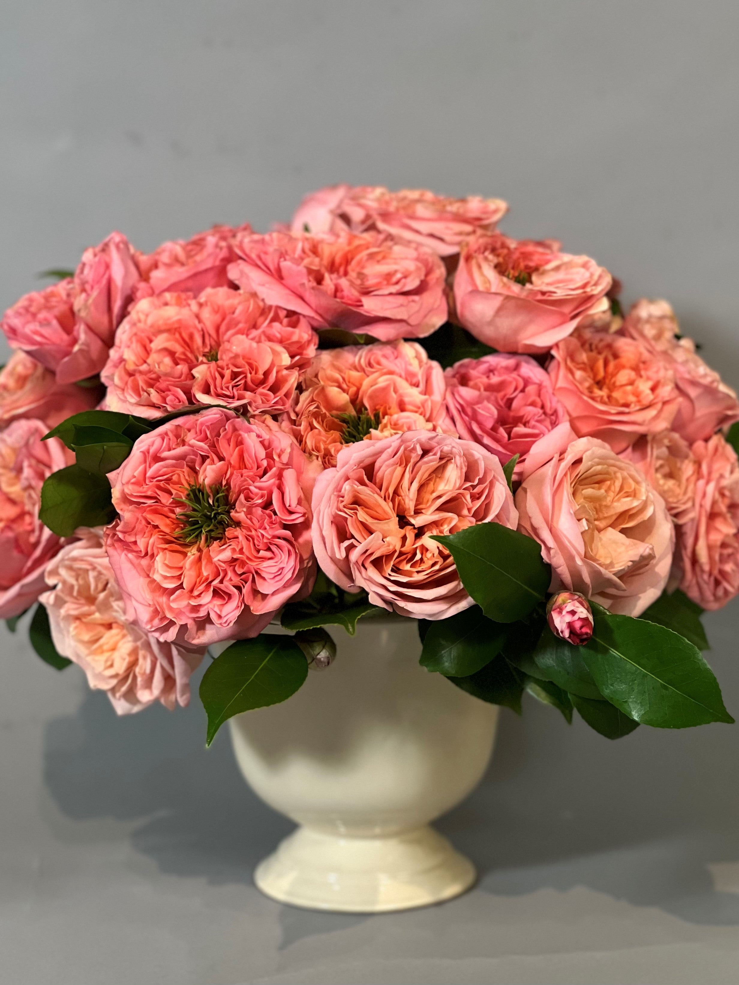 Expression of Roses – Greenwich Orchids