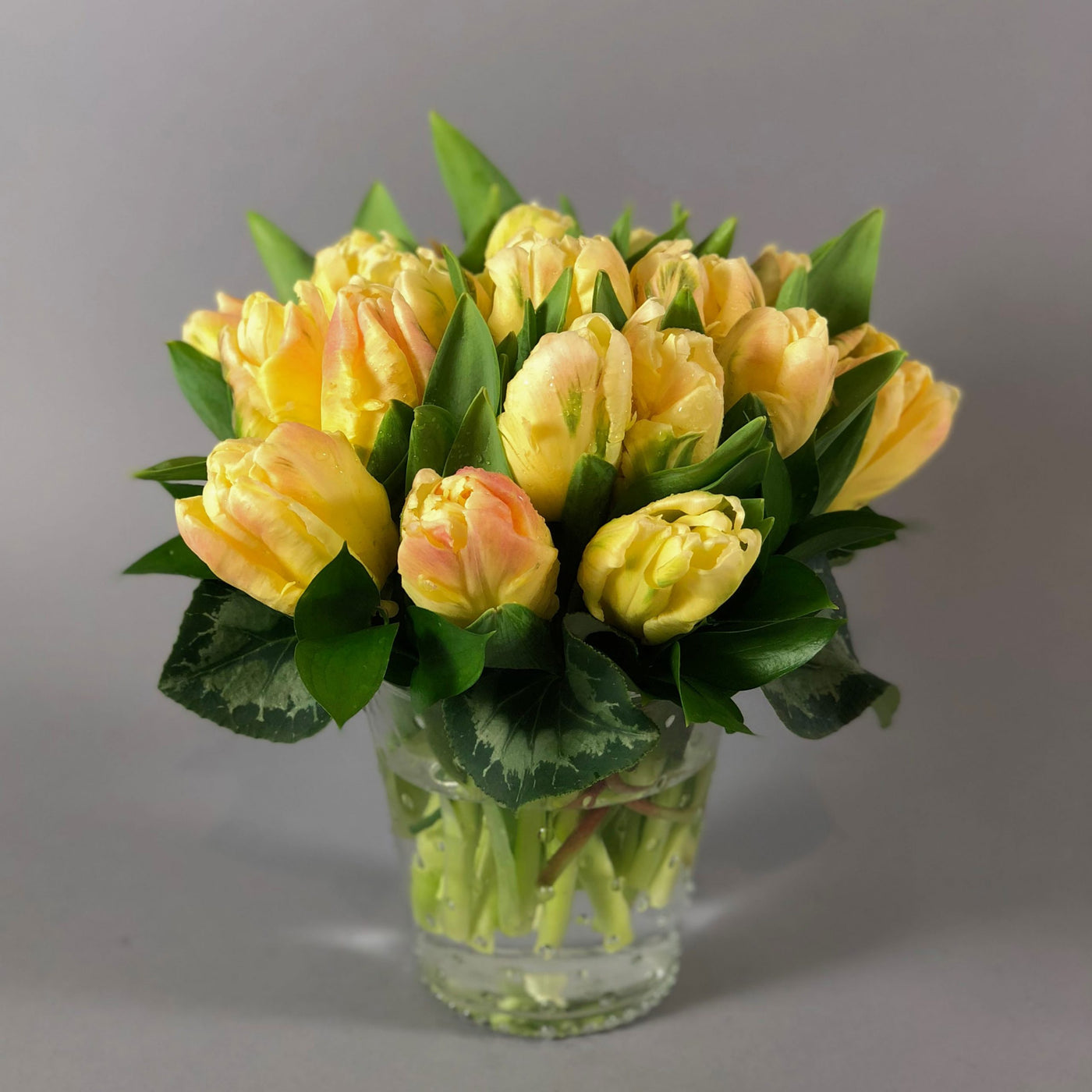 Buttercup Tulips